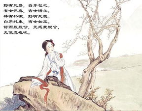 關(guān)于仲尼的詩(shī)句