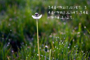 關(guān)于無(wú)足輕重的足的詩(shī)句