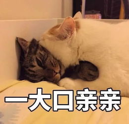 關(guān)于不思進(jìn)取的的詩(shī)句