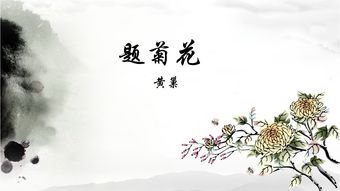 關(guān)于荻花詩(shī)句