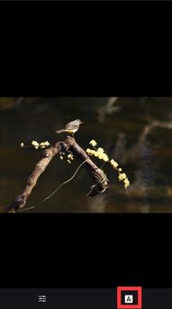 月亮的詩(shī)句古詩(shī)及出處