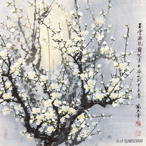 關(guān)于菊花梅花桃花杏花的詩(shī)句古詩(shī)