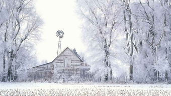 關(guān)于雪天浪漫的詩(shī)句