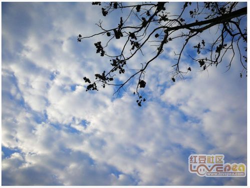 關(guān)于歿的詩(shī)句