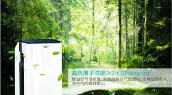 古詩(shī)中關(guān)于潔凈空氣的詩(shī)句