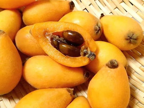 關(guān)于春天水果枇杷的詩(shī)句