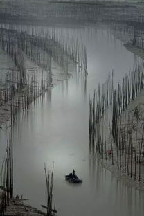 關(guān)于貧賤富貴的詩(shī)句