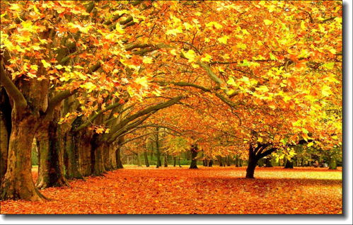 寫(xiě)秋景的詩(shī)句古詩(shī)詞