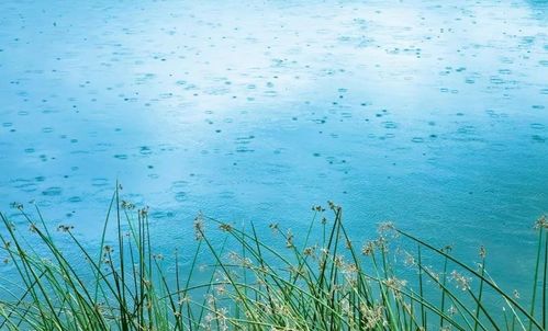 關(guān)于陶醉春光的詩(shī)句