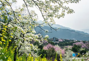 關(guān)于發(fā)春的詩(shī)句