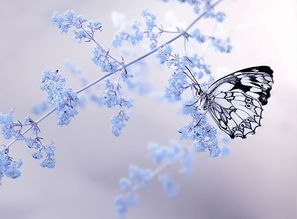 描寫(xiě)課堂的古詩(shī)句