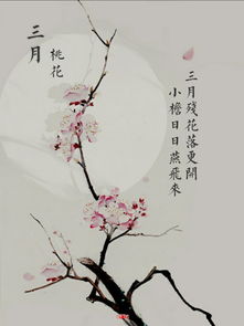 古詩(shī)帶有春花的詩(shī)句