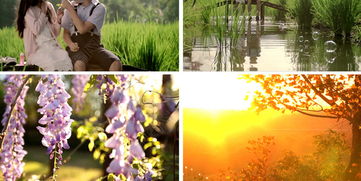 關(guān)于雪景的抒情詩(shī)句