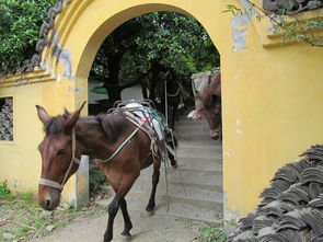 詩(shī)句,于大香