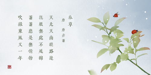 關(guān)于春天秋天的詩(shī)句古詩(shī)大全