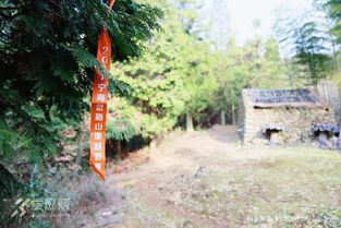 古詩(shī),詩(shī)句,跑步