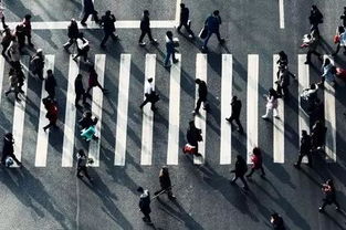 關(guān)于都市輕人叛逆的詩(shī)句