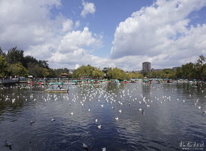 關(guān)于昆明翠湖的詩(shī)句