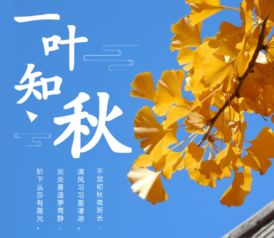 深圳,詩(shī)句,描寫(xiě),優(yōu)美