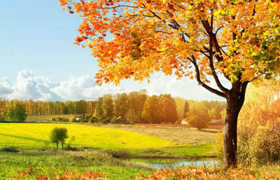 形容秋天天氣好的古詩(shī)句