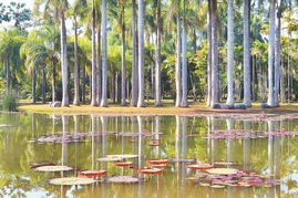 關(guān)于環(huán)境的作用的詩(shī)句