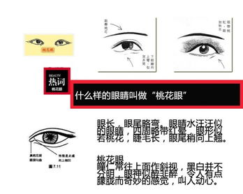 桃花眼的古詩(shī)句