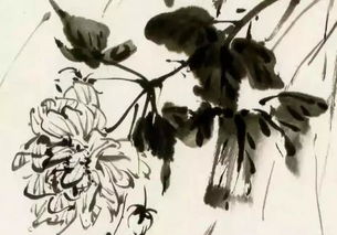 關(guān)于好學(xué)的古詩(shī),好學(xué)的古詩(shī)名句,關(guān)于好學(xué)的古詩(shī)五言絕句