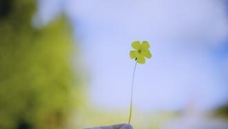 古詩(shī)句激勵員工