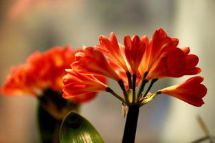 關(guān)于季節的現代詩(shī)句有哪些