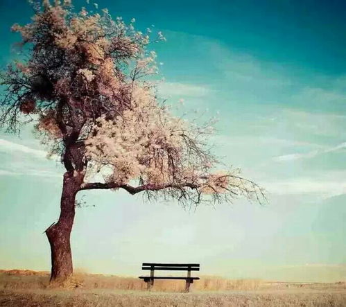 唯美古詩(shī)句風(fēng)景下雨