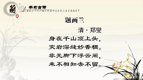 關(guān)于閱讀課的詩(shī)句