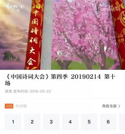 關(guān)于愛(ài)奇藝詩(shī)句