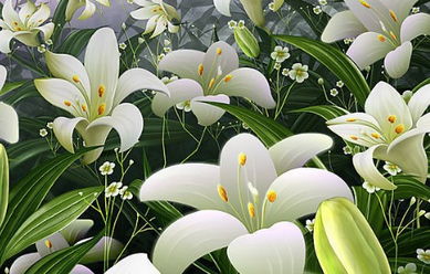 關(guān)于描寫(xiě)百合花的詩(shī)句三級