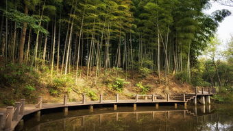 關(guān)于草花風(fēng)雨的古詩(shī)句