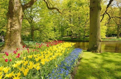 關(guān)于秋天收獲的詩(shī)句和諺語(yǔ),秋天的詩(shī)句和諺語(yǔ),有關(guān)秋天的成語(yǔ)詩(shī)句諺語(yǔ)