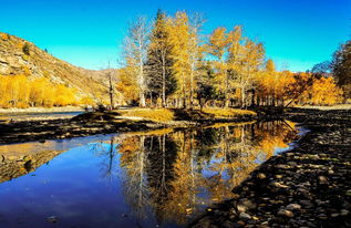 歌頌,母愛(ài),詩(shī)句