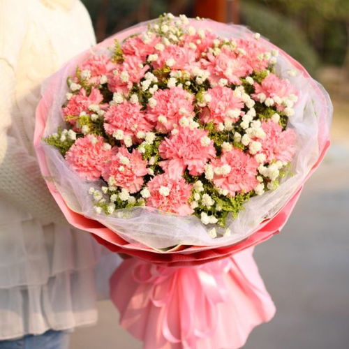 關(guān)于喜歡康乃馨的詩(shī)句