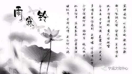 憤怒的古詩(shī)句子賞析