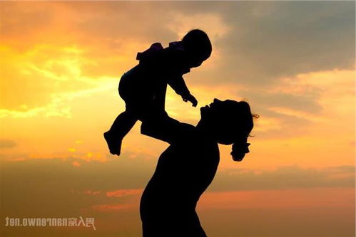 友愛(ài)的關(guān)于感恩母親的詩(shī)句