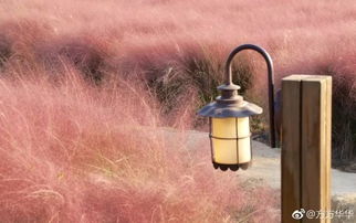 關(guān)于粉黛詩(shī)句