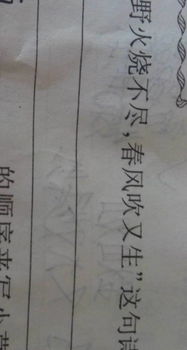 絕處逢生意思相近的古詩(shī)句