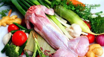 兔肉古詩(shī)句