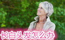 操勞,詩(shī)句,白頭發(fā)