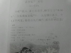 寫(xiě)風(fēng)的詩(shī)句古詩(shī)五級