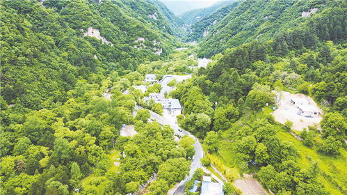 關(guān)于俯瞰群山的詩(shī)句