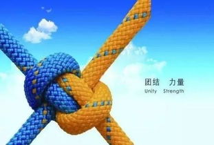 關(guān)于團結的詩(shī)句和意思