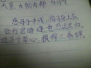 古詩(shī)文中贊揚花的品德的詩(shī)句有