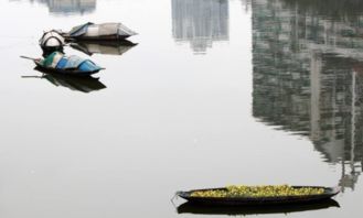 安仁,古詩(shī),詩(shī)句,解釋