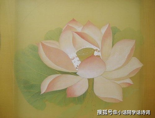 關(guān)于蓮的詩(shī)句古詩(shī)20首