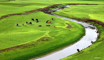 關(guān)于描寫(xiě)草原風(fēng)景的詩(shī)句古詩(shī)